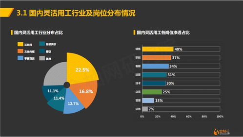 灵活就业 向往自由 追求价值 这种就业模式,你会选择吗